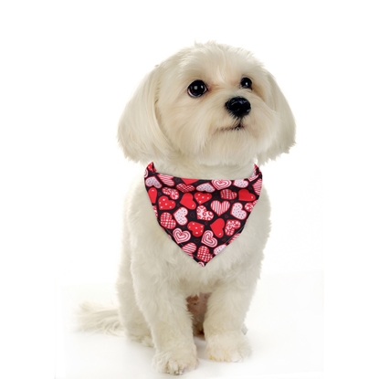 Picture of Valentine Dog Bandana